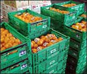 リユース（プラスチック製通い箱）