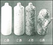 リーズナブル・リスポーザル（生分解性プラスチック）