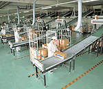 カーゴテーナ納入事例・医薬品業界