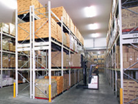 ニューグッラック・概要