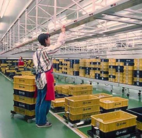 デジタルアソートシステム・概要