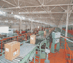 写真1. スイングソーターの納入1号機